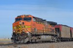 BNSF 5636 - Roster